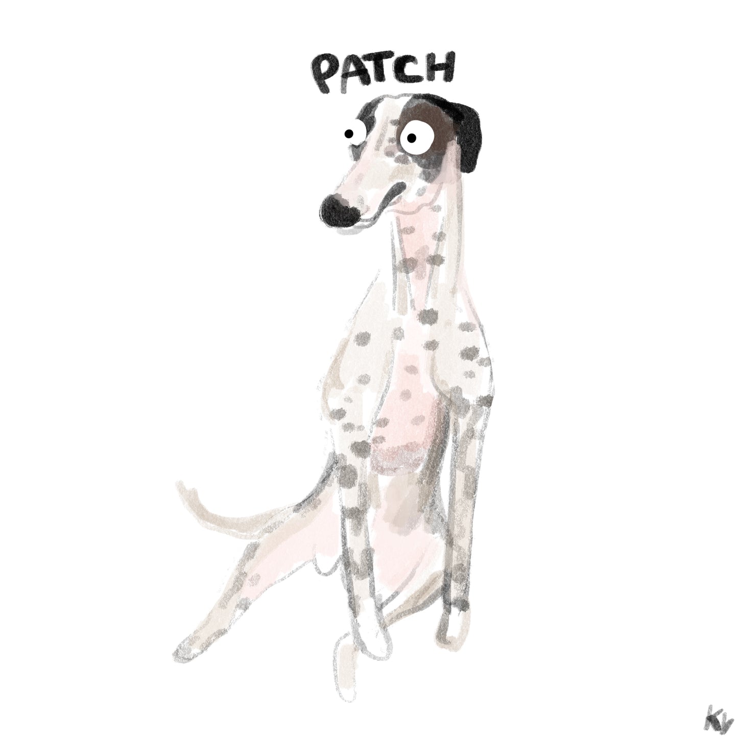 The longest skinniest spotty greyhound I ever did see, expertly drawn as a cartoon.