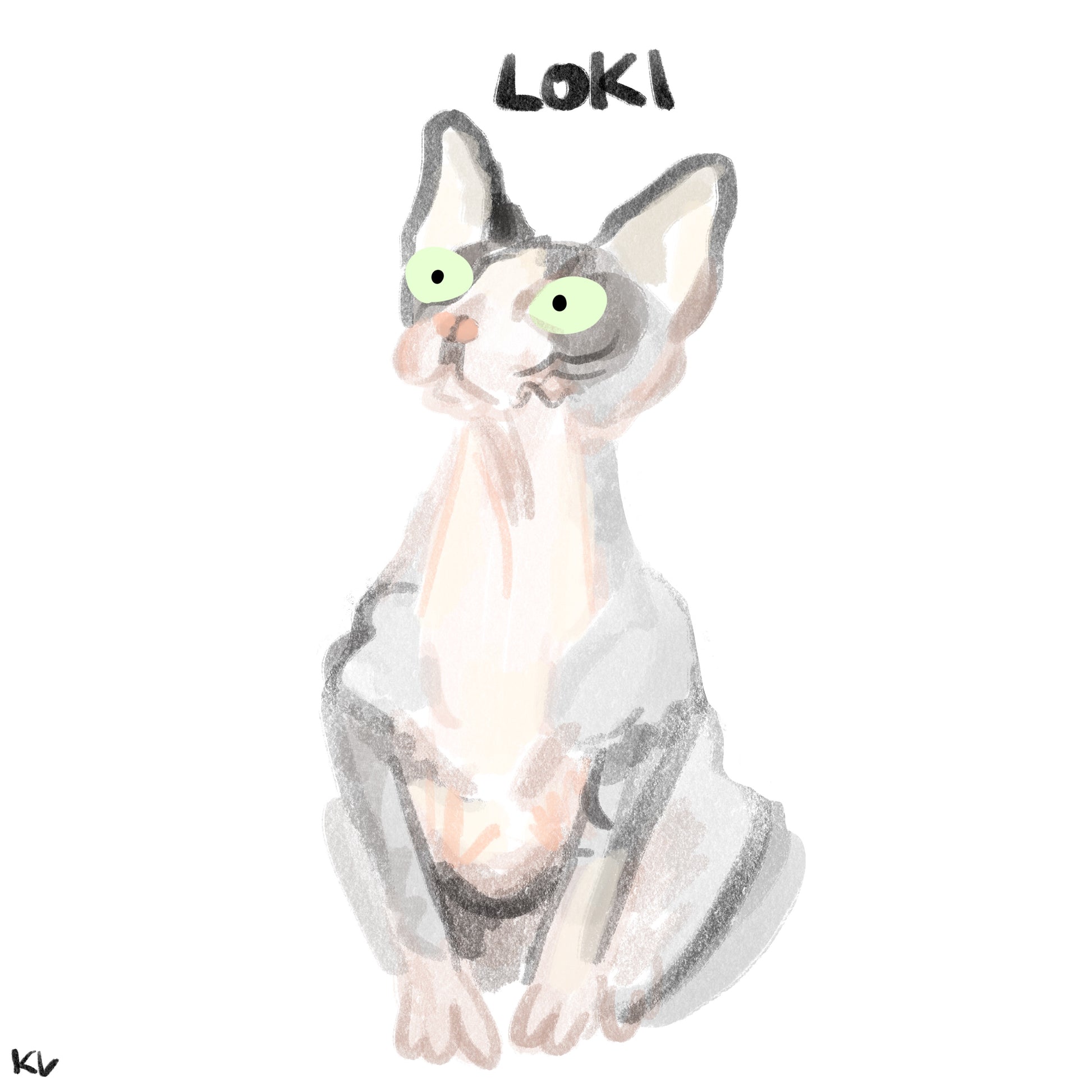 Illustration of a hairless sphynx cat with big goofy green eyes.