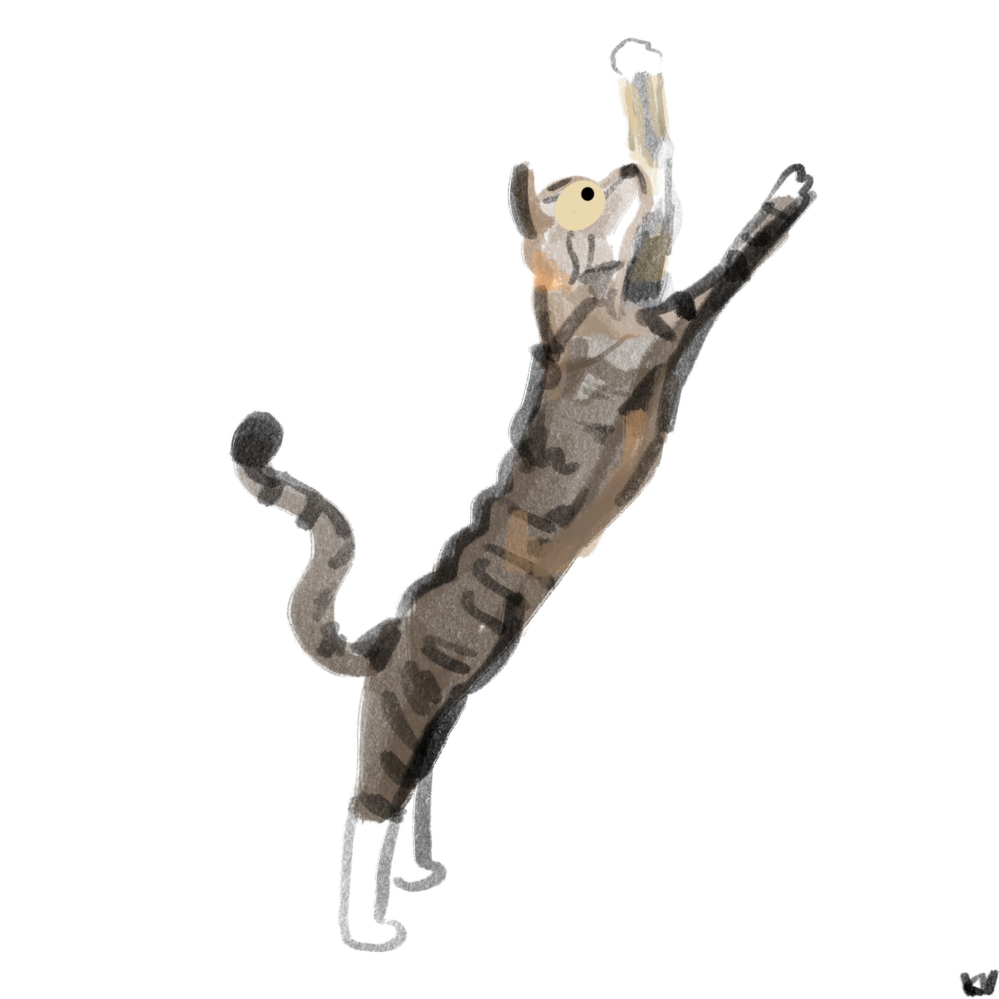 Drawing of a long cat!