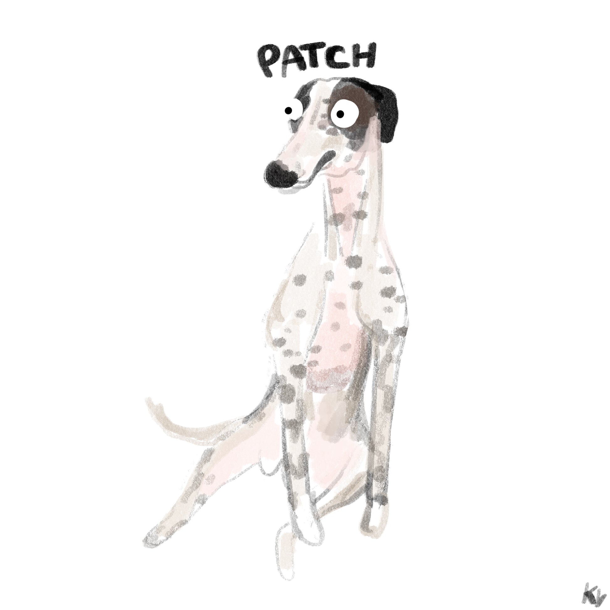 The longest skinniest spotty greyhound I ever did see, expertly drawn as a cartoon.