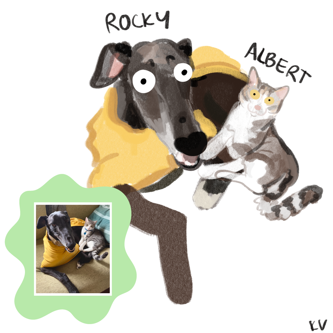 Rocky the greyhound in a raincoat and Albert the calico cat are snuggling together in this cartoon drawing.