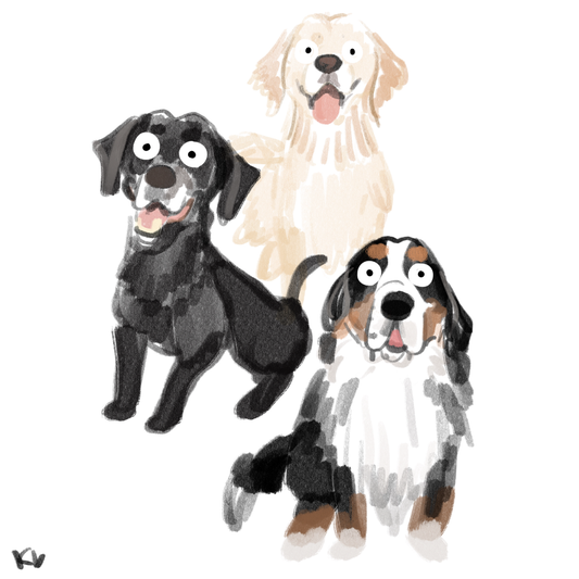 3 dogs masterfully drawn on my mum's ipad.